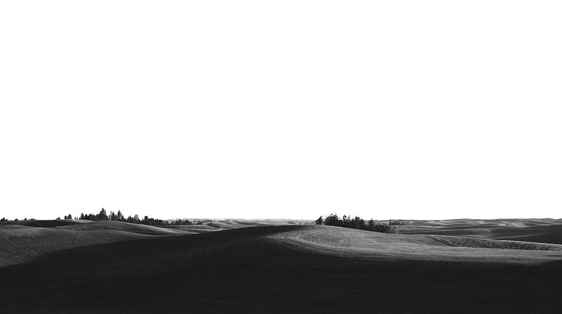Picture by Frantzou Fleurine on Unsplash