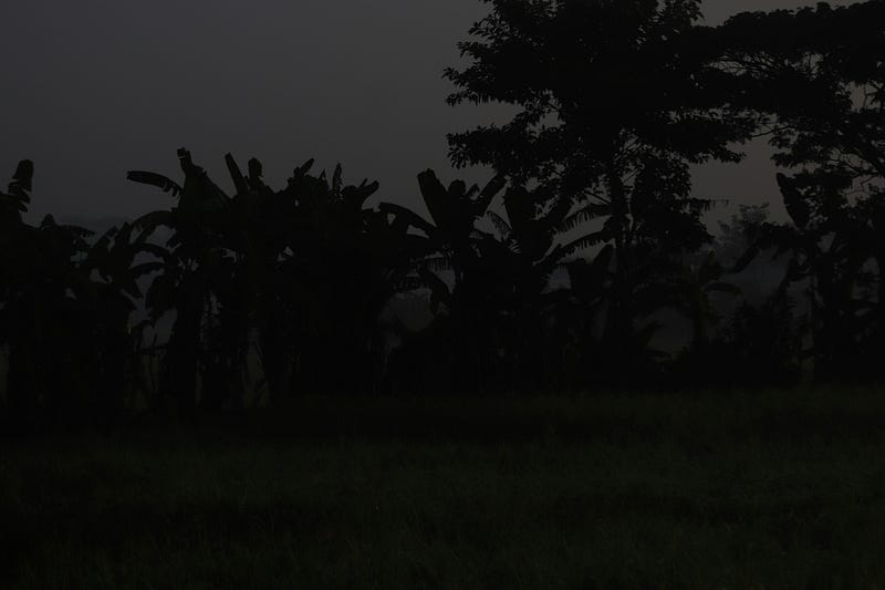 Picture by Md Jahid Hossen on Unsplash